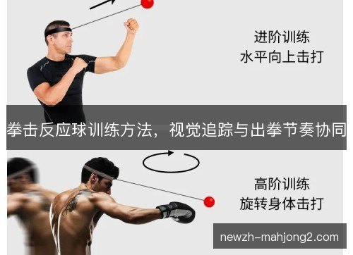 拳击反应球训练方法,视觉追踪与出拳节奏协同 拳击反应球训练方法,视觉追踪与出拳节奏协同